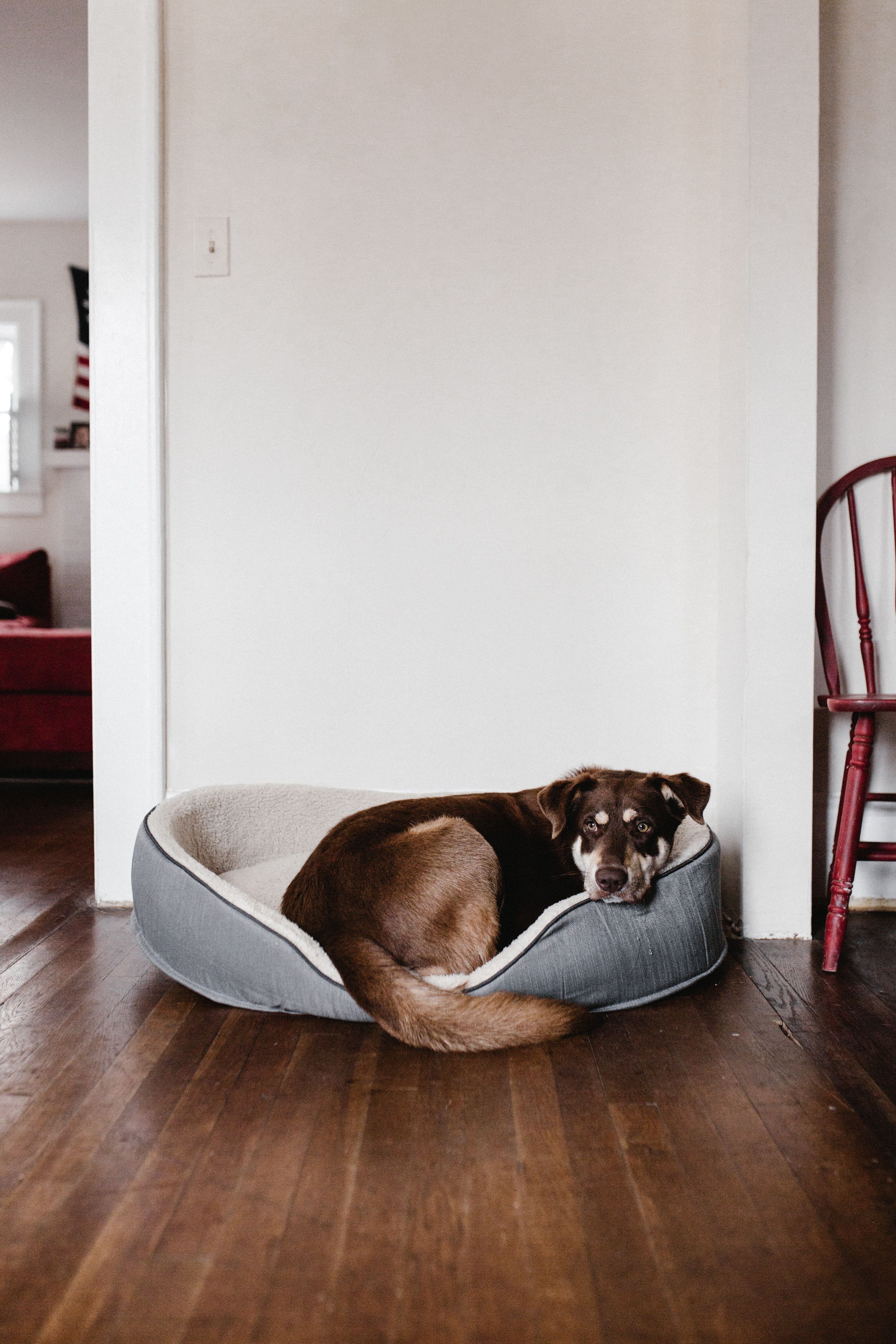Comforts, Beds & Rest